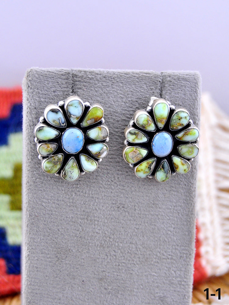 Southwest Made Multistone & Sterling Silver Post Earrings
