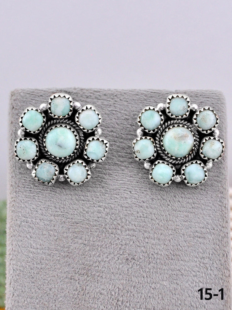 Southwest Made Paloma Turquoise & Sterling Silver Post Earrings