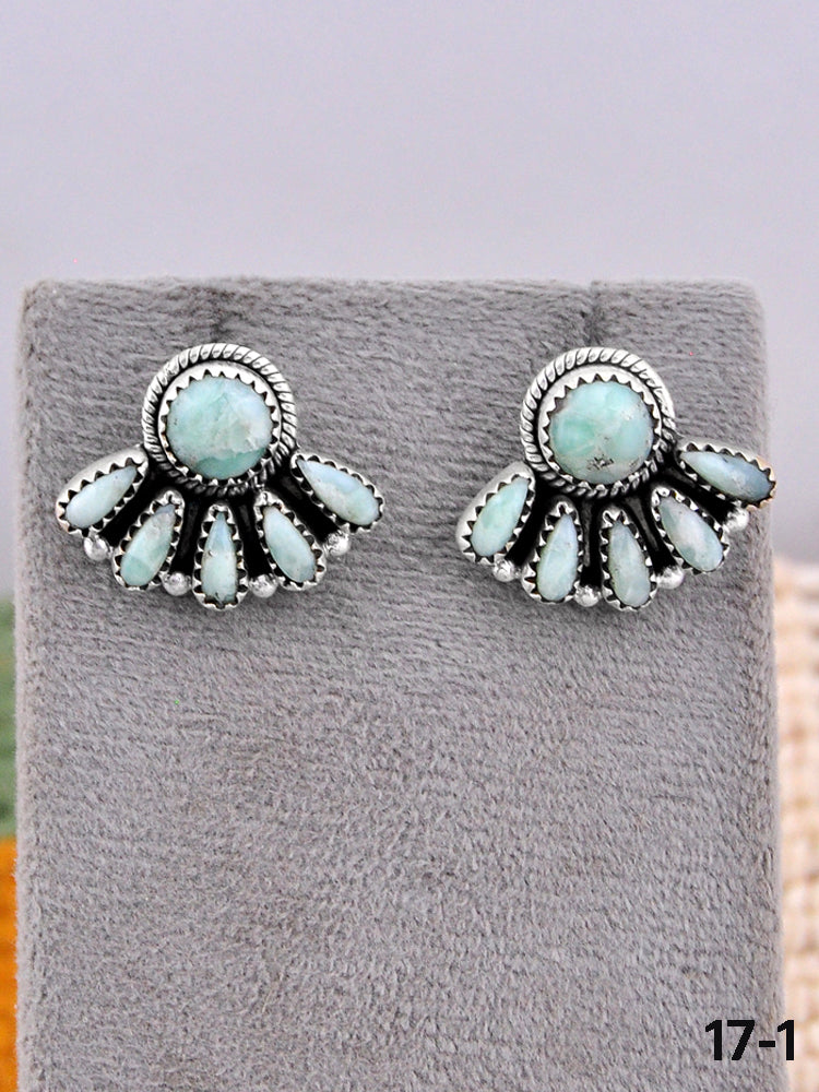 Southwest Made Paloma Turquoise & Sterling Silver Post Earrings