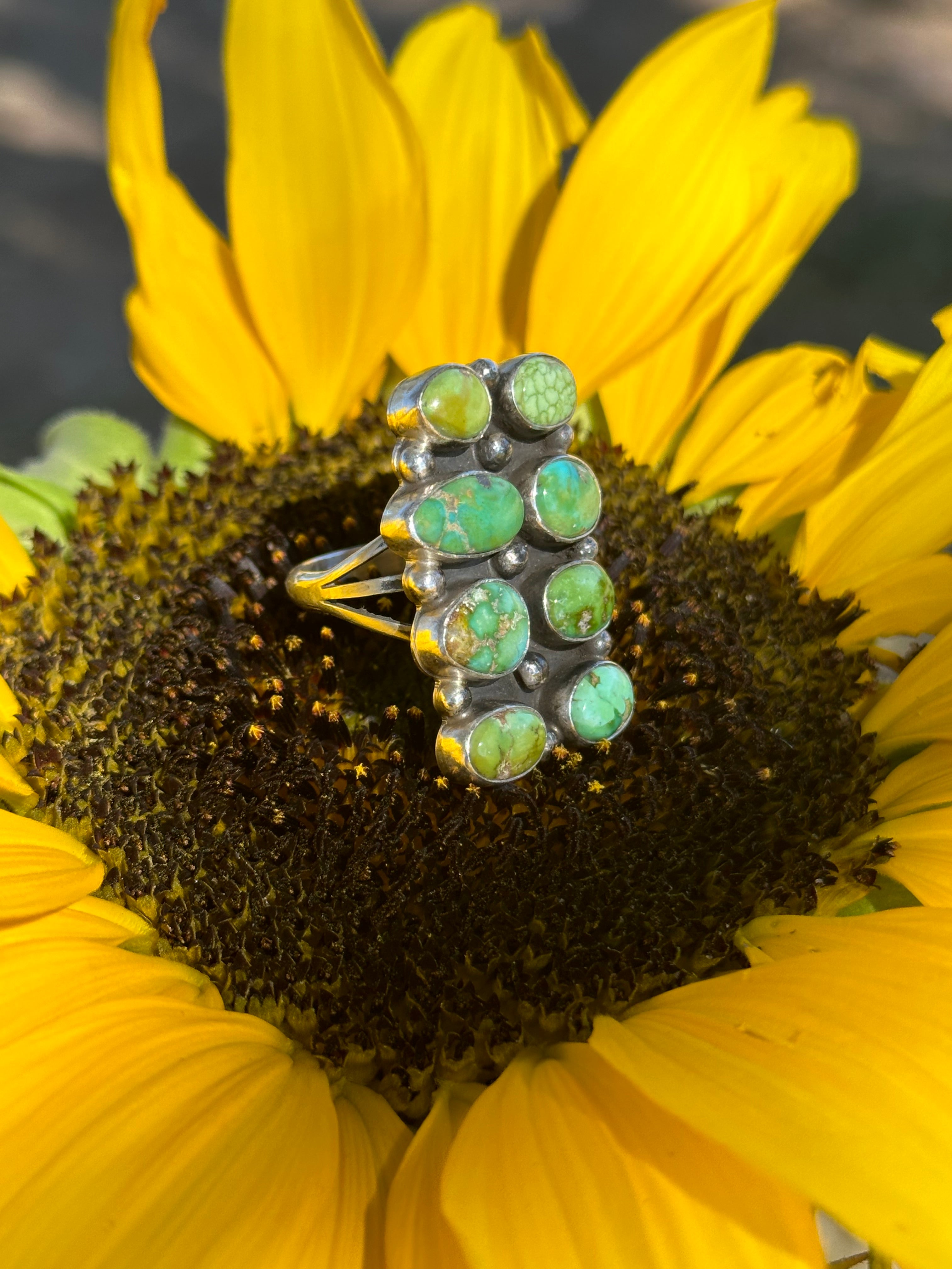 Jon Begay Royston Turquoise & Sterling Silver Cluster Ring Size 10