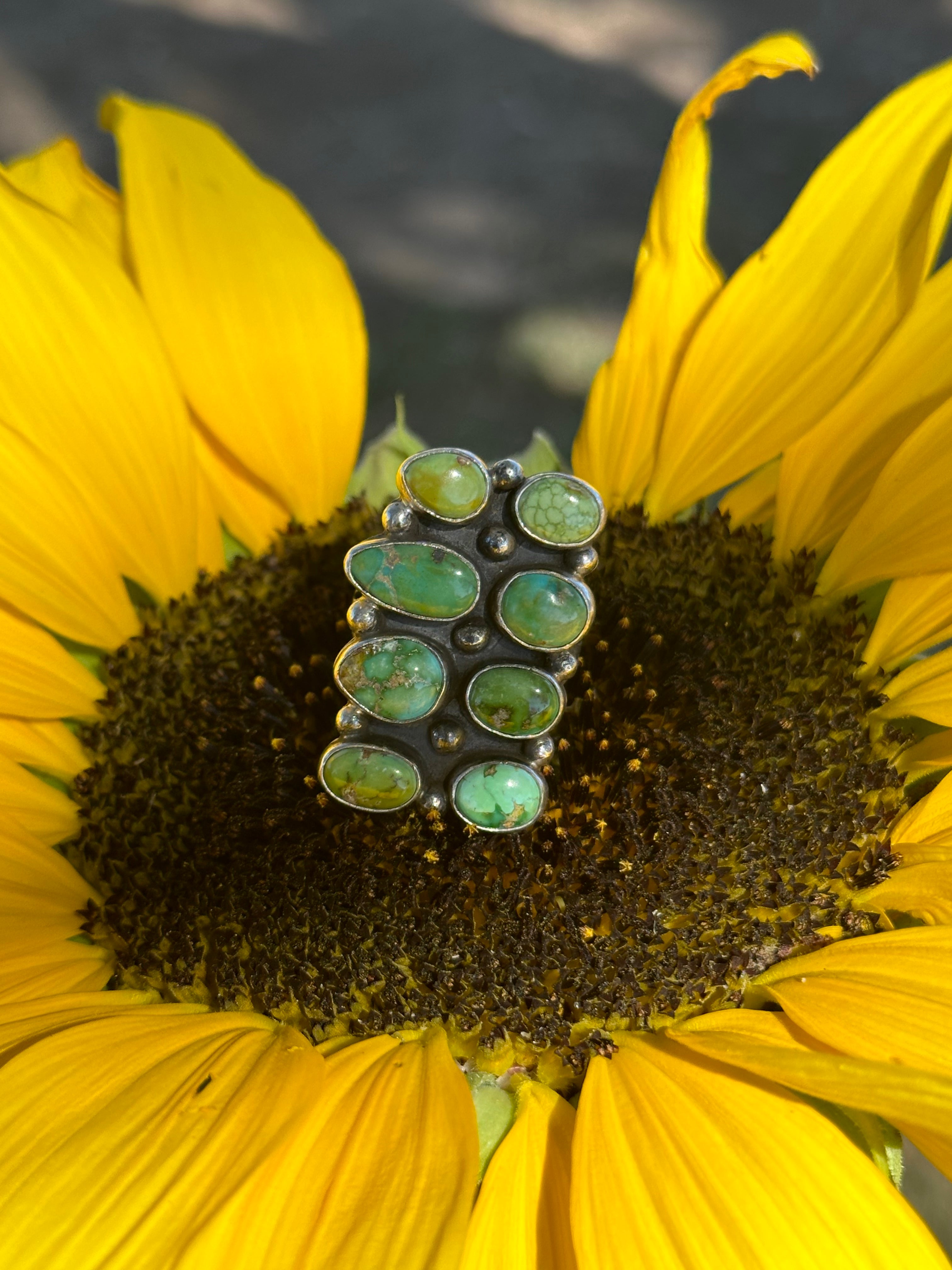 Jon Begay Royston Turquoise & Sterling Silver Cluster Ring Size 10