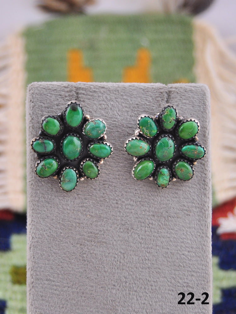 Southwest Made Sonoran Mountain Turquoise & Sterling Silver Post Earrings
