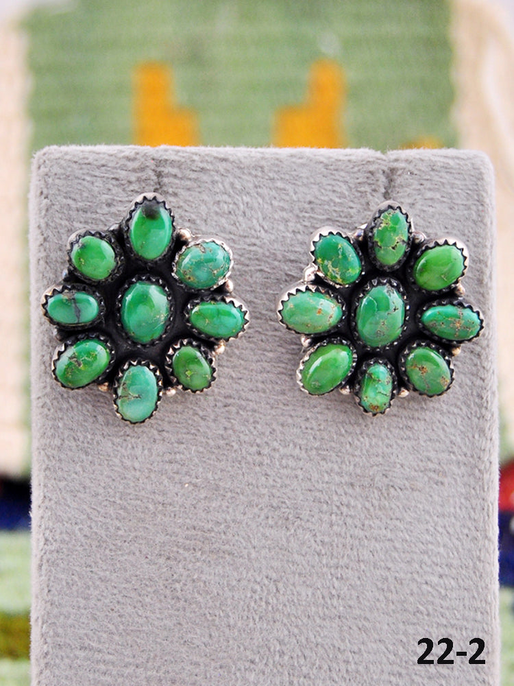 Southwest Made Sonoran Mountain Turquoise & Sterling Silver Post Earrings