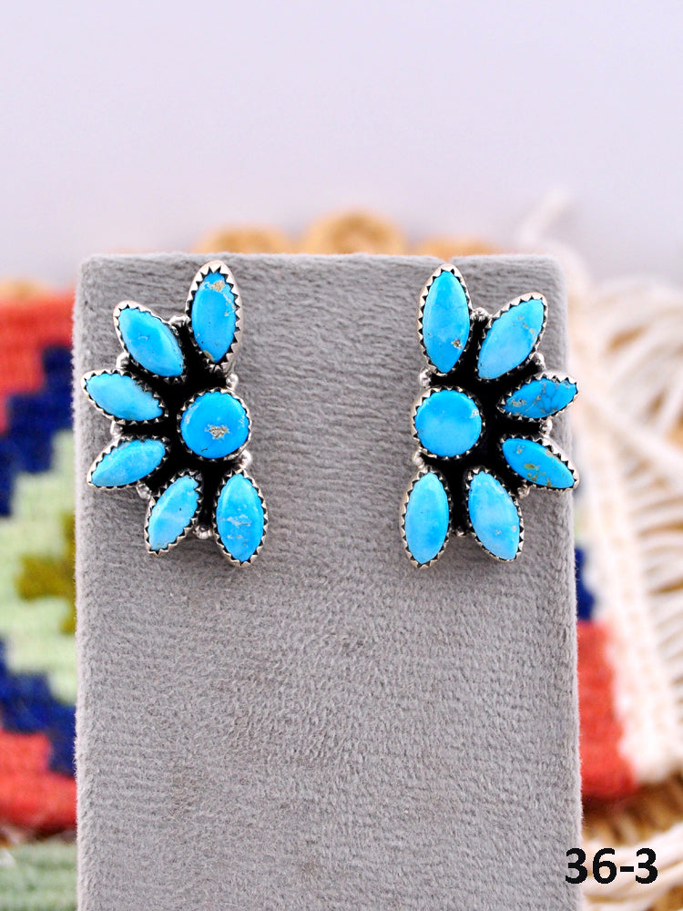 Southwest Made Blue Bird & Sterling Silver Post Earrings