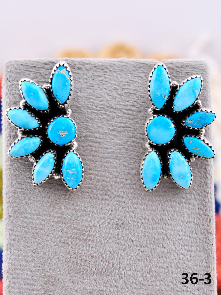 Southwest Made Blue Bird & Sterling Silver Post Earrings