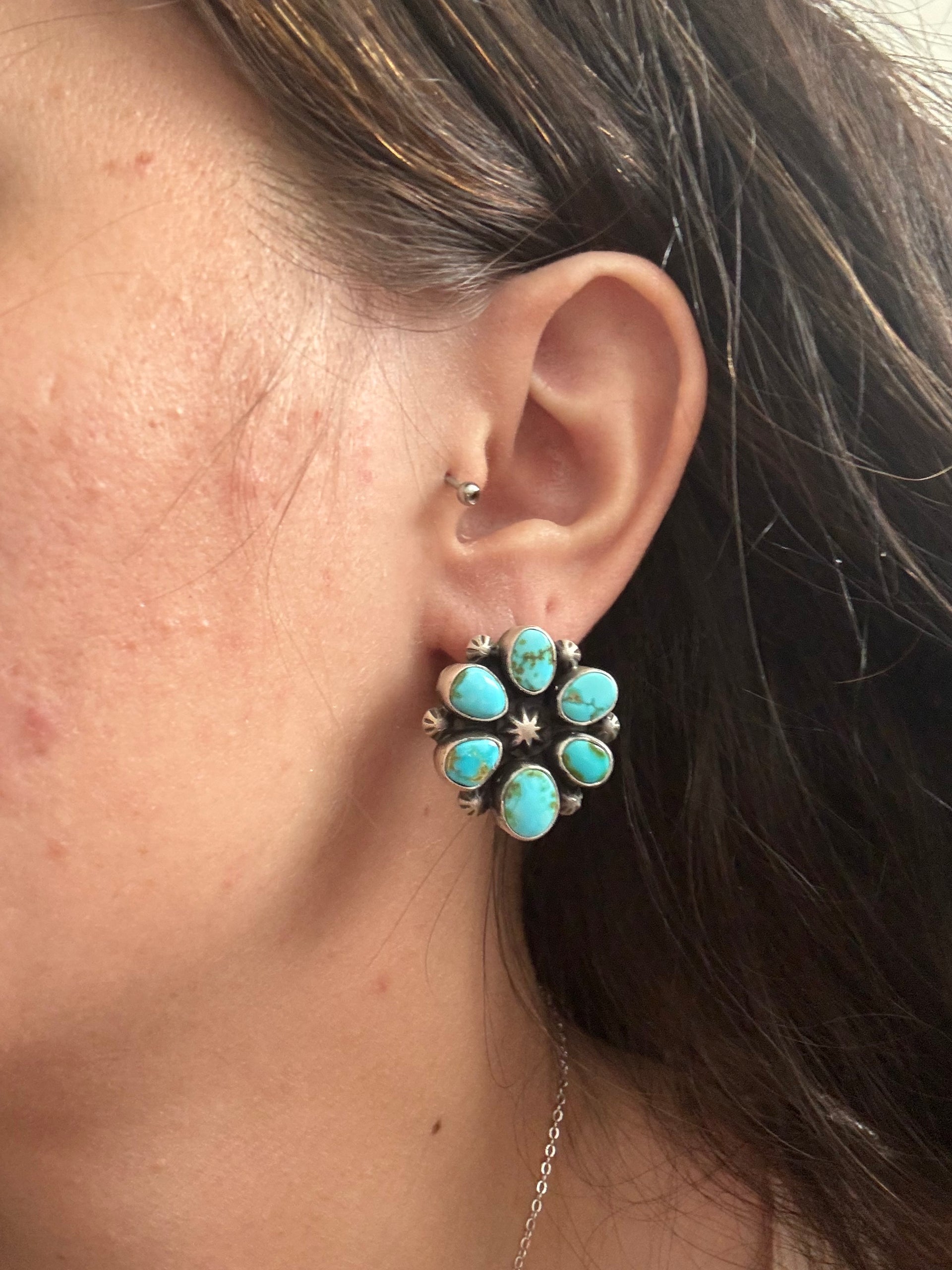 Dave Skeets Sonoran Mountain Turquoise & Sterling Silver Post Dangle Earrings
