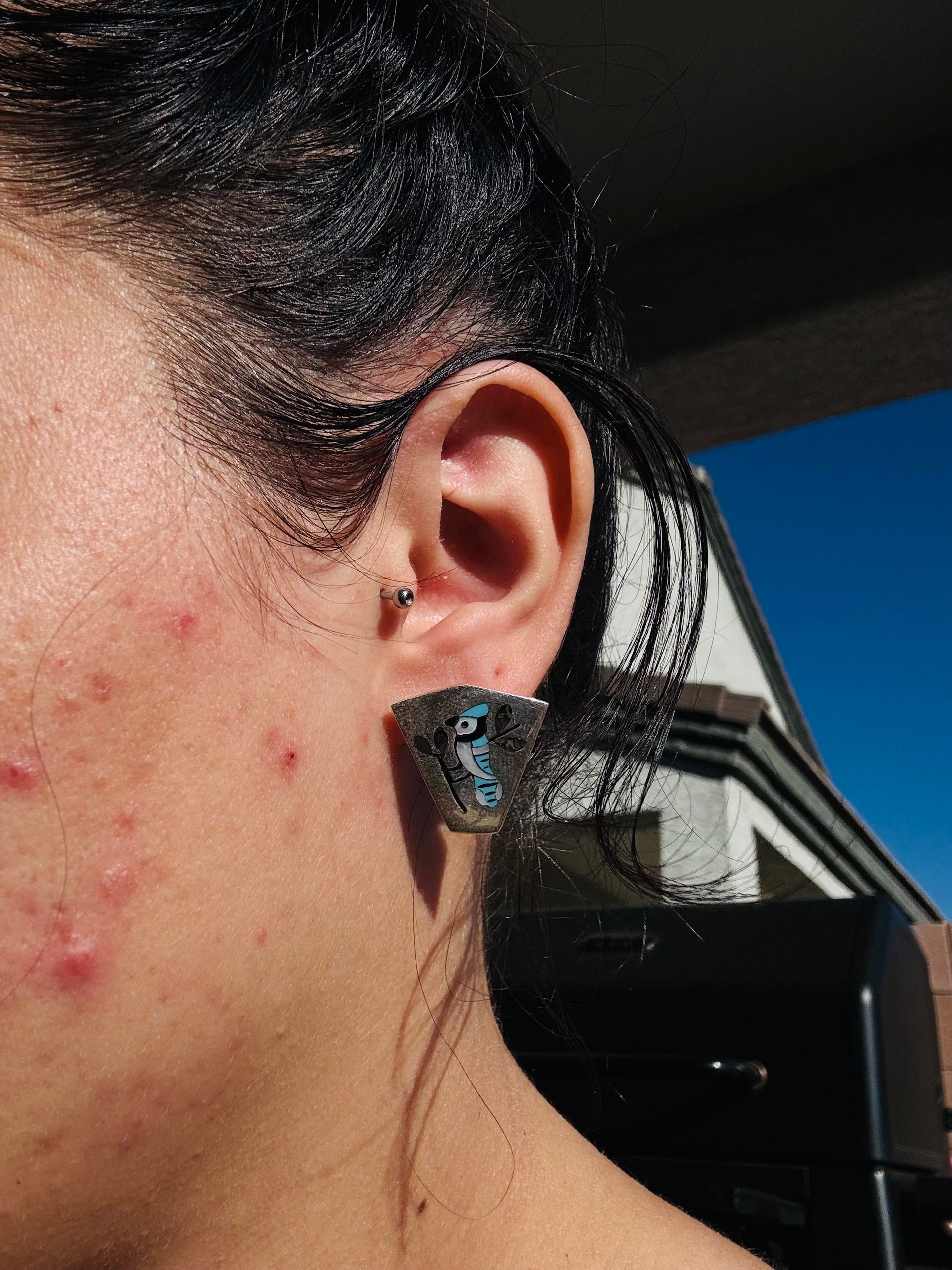 Sanford Edaakie Multi Stone & Sterling Silver Inlay Post Earrings