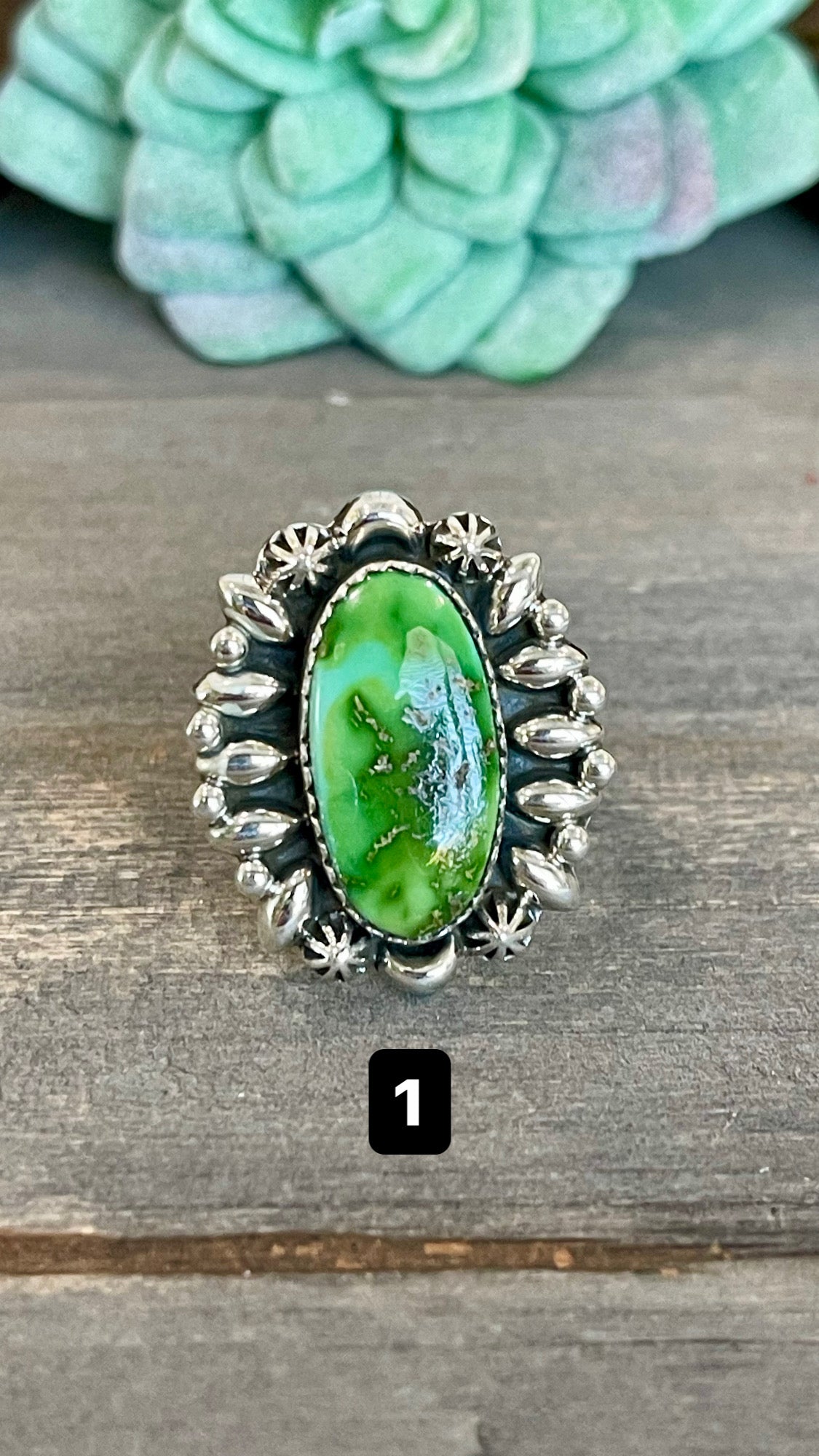 Southwest Handmade Sonoran Mountain Turquoise & Sterling Silver Adjustable Ring