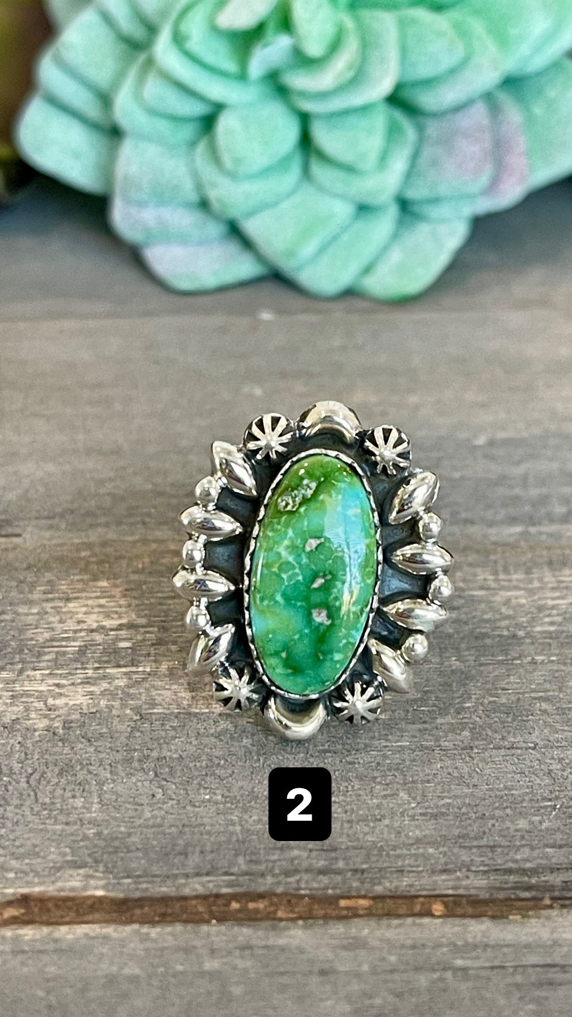 Southwest Handmade Sonoran Mountain Turquoise & Sterling Silver Adjustable Ring