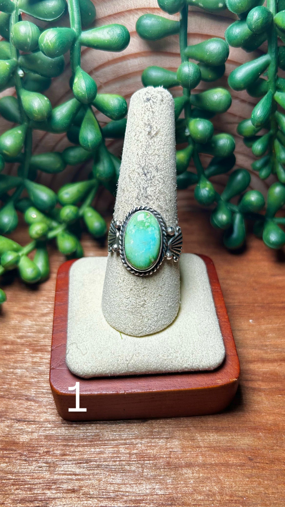Annette Chiquito Sonoran Mountain Turquoise & Sterling Silver Ring