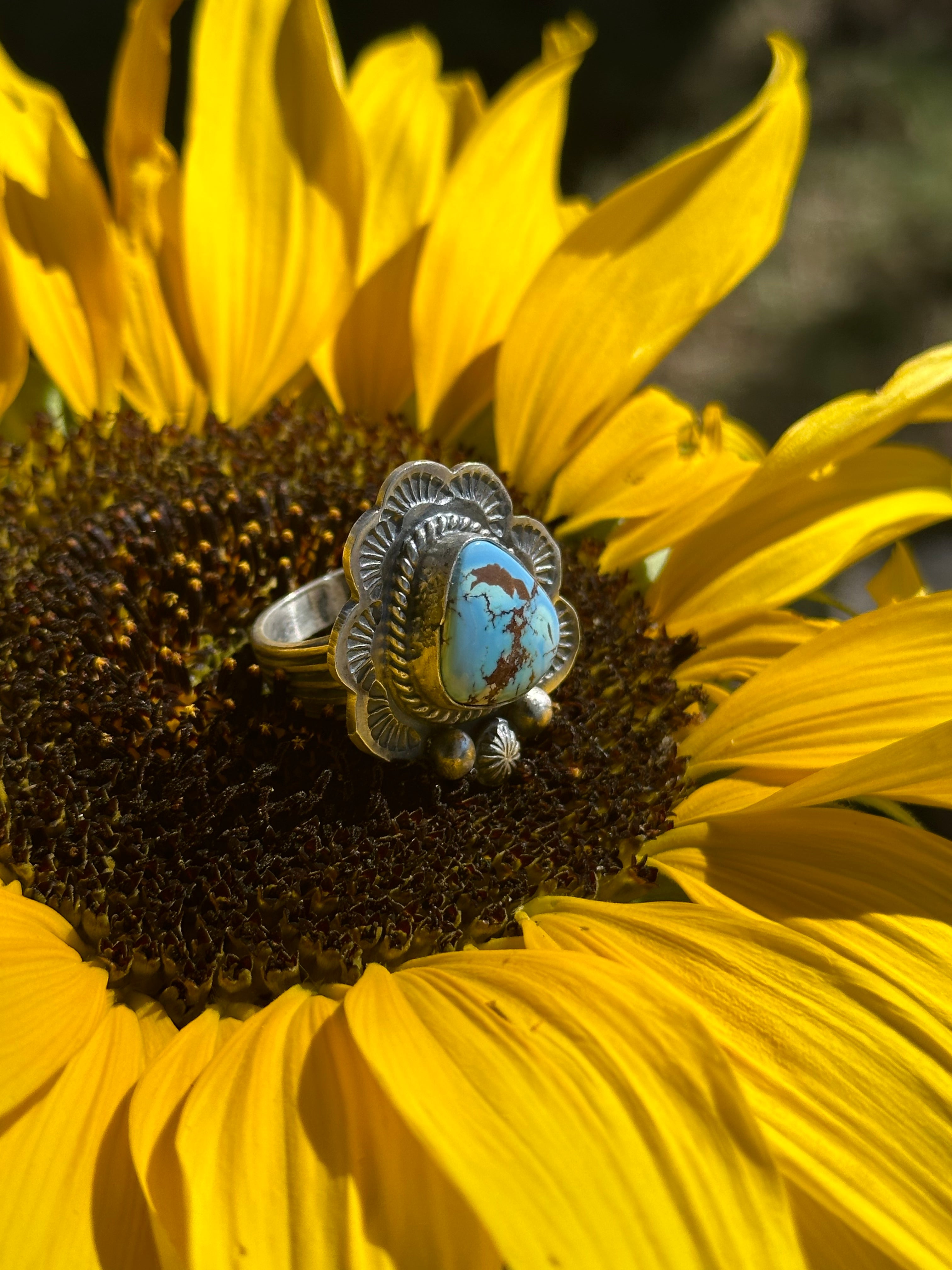 Navajo Made Golden Hills Turquoise & Sterling Silver Ring Size 10.5