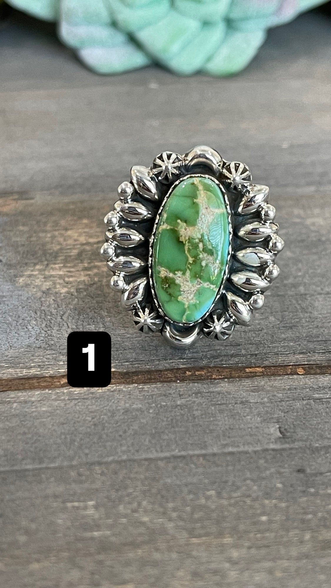 Southwest Handmade Sonoran Mountain Turquoise & Sterling Silver Adjustable Ring