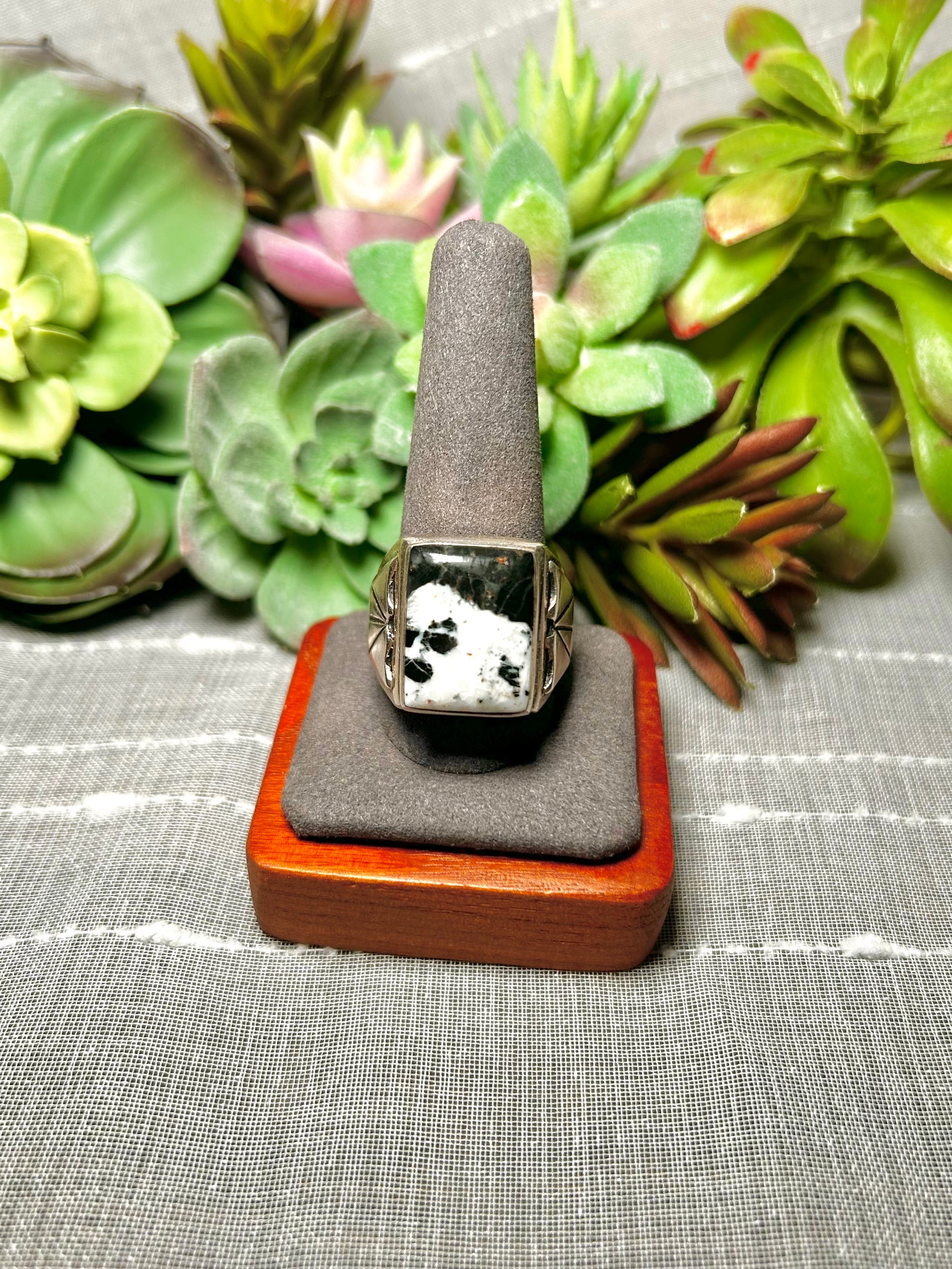 Alex Begay White Buffalo & Sterling Silver Ring Size 11.5