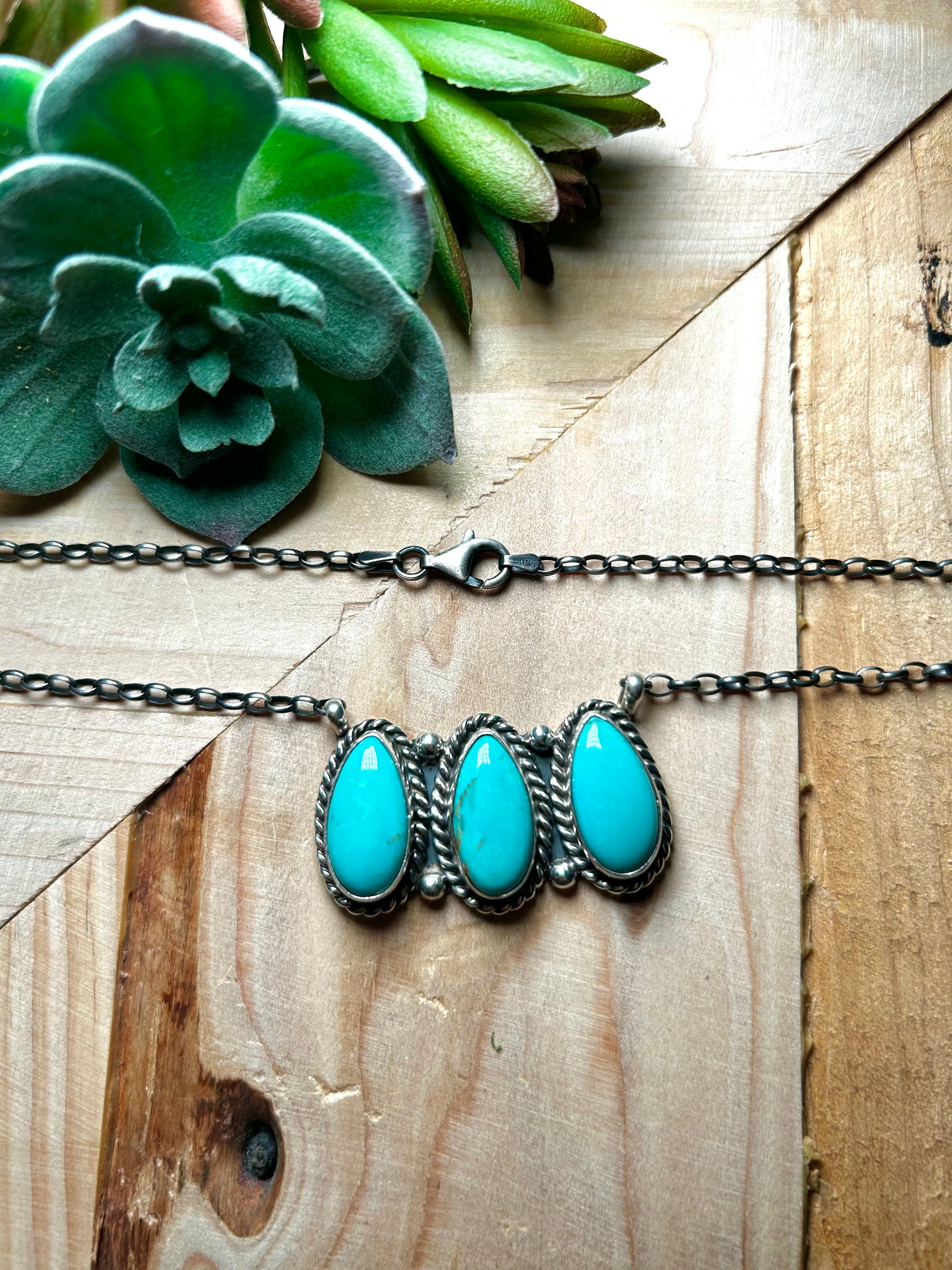 Donovan Skeets Kingman Turquoise& Sterling Silver Necklace