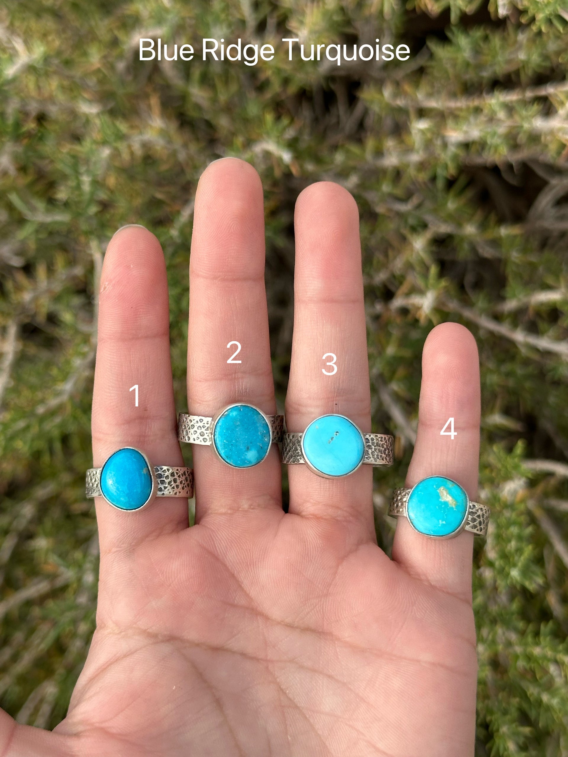 Scott Skeets Blue Ridge Turquoise &  Sterling Silver Ring