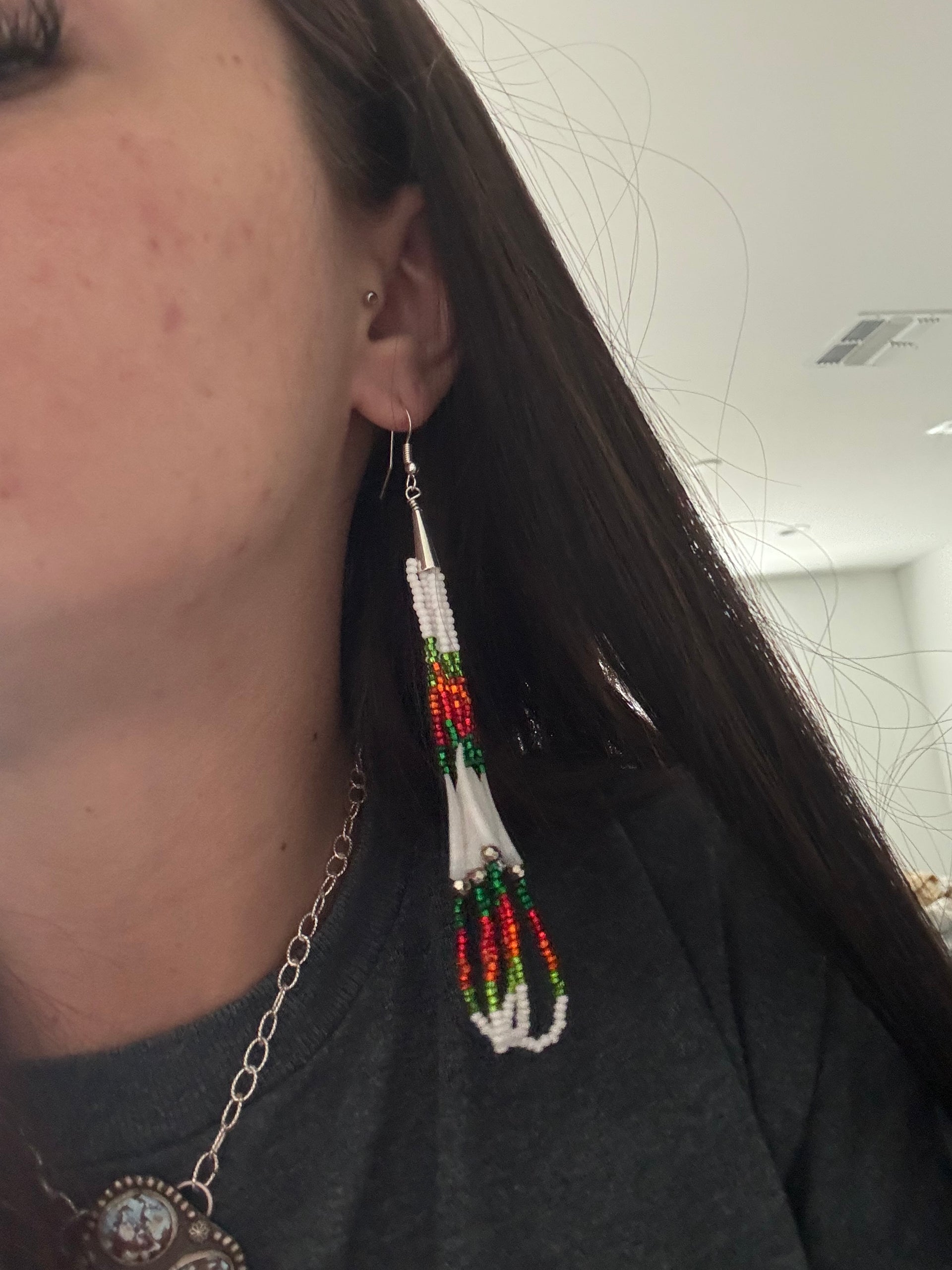 Navajo Strung Multi Stone & Sterling Silver Beaded Dangle Earrings