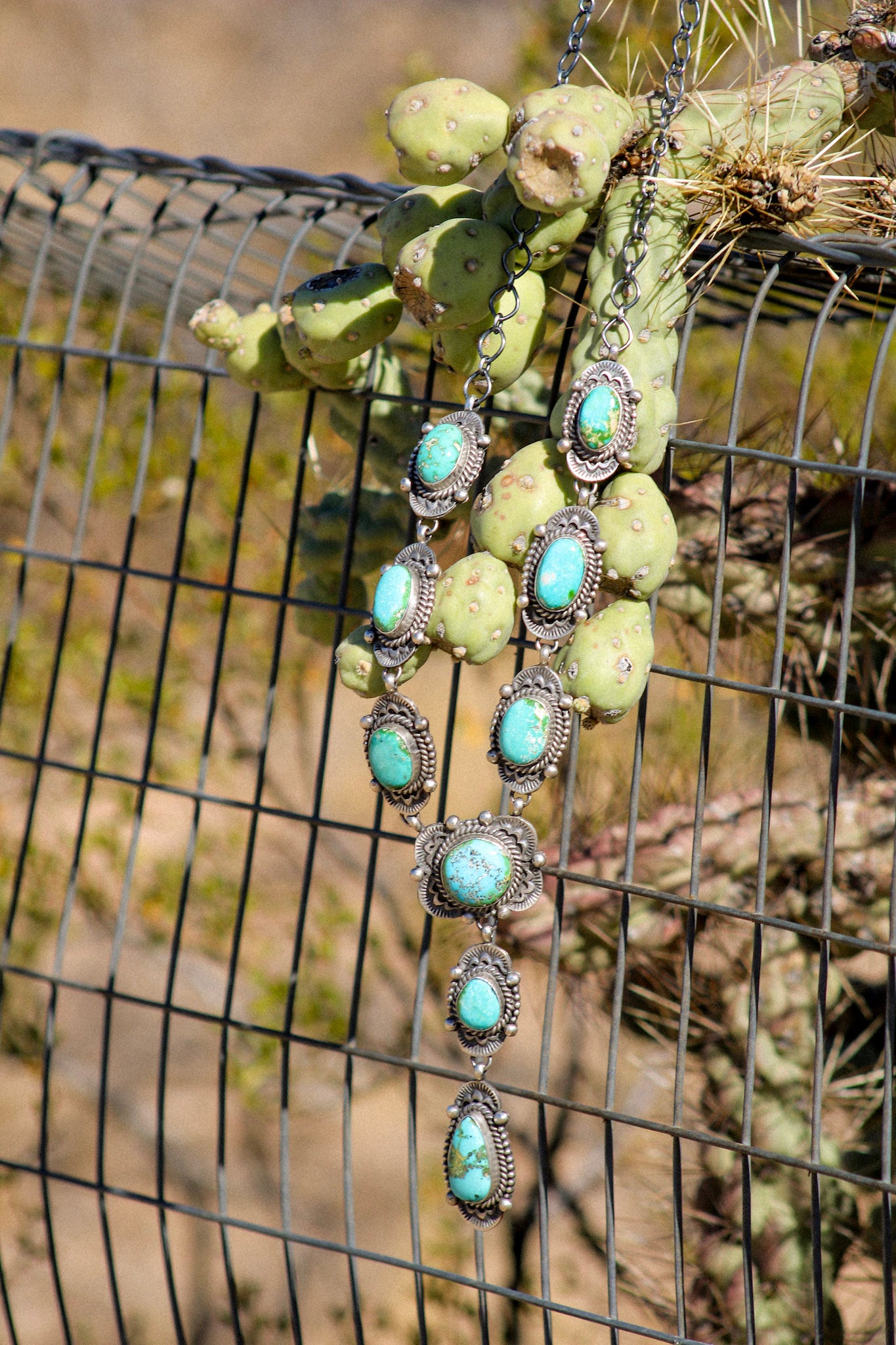 Jimmy Lee Sonoran Mountain Turquoise & Sterling Silver Lariat Necklace Set