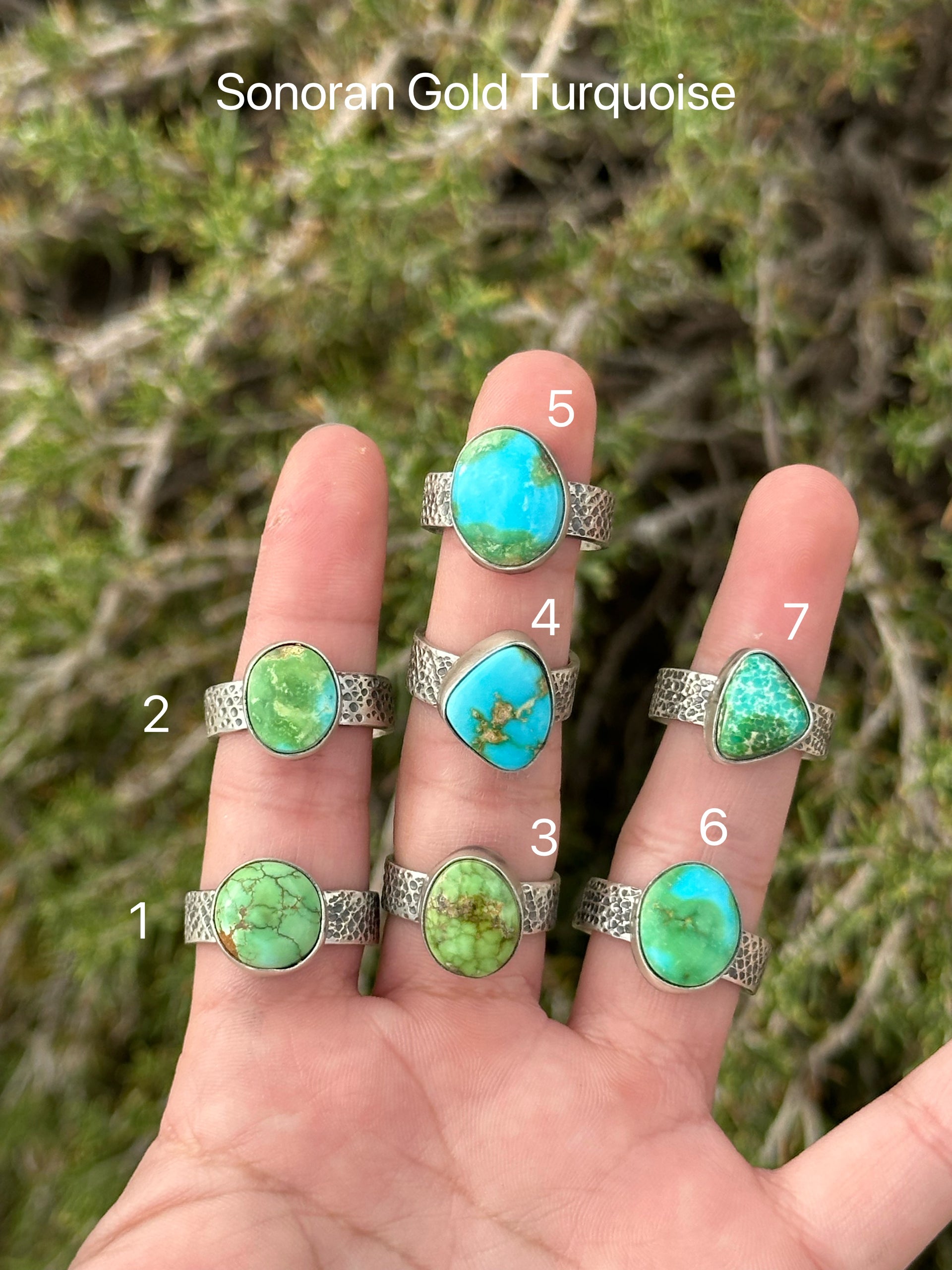 Scott Skeets Sonoran Gold Turquoise &  Sterling Silver Ring