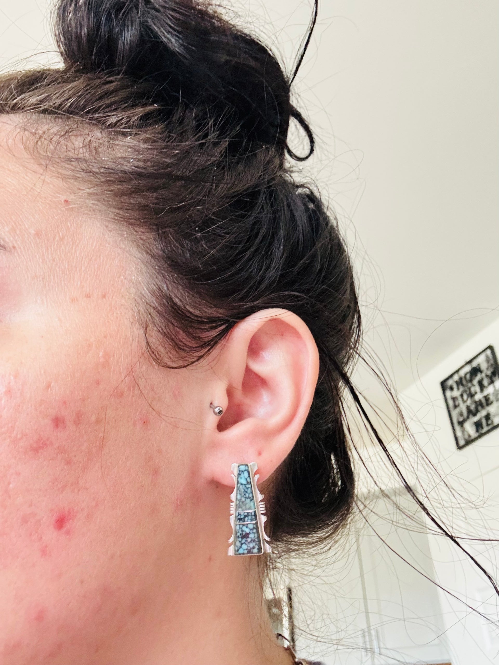 Steve Francisco Kingman Spiderweb Turquoise & Sterling Silver Post Inlay Earrings