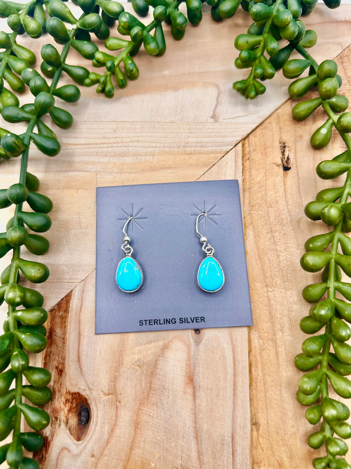 Shirley Henry Kingman Turquoise & Sterling Silver Hook Earrings