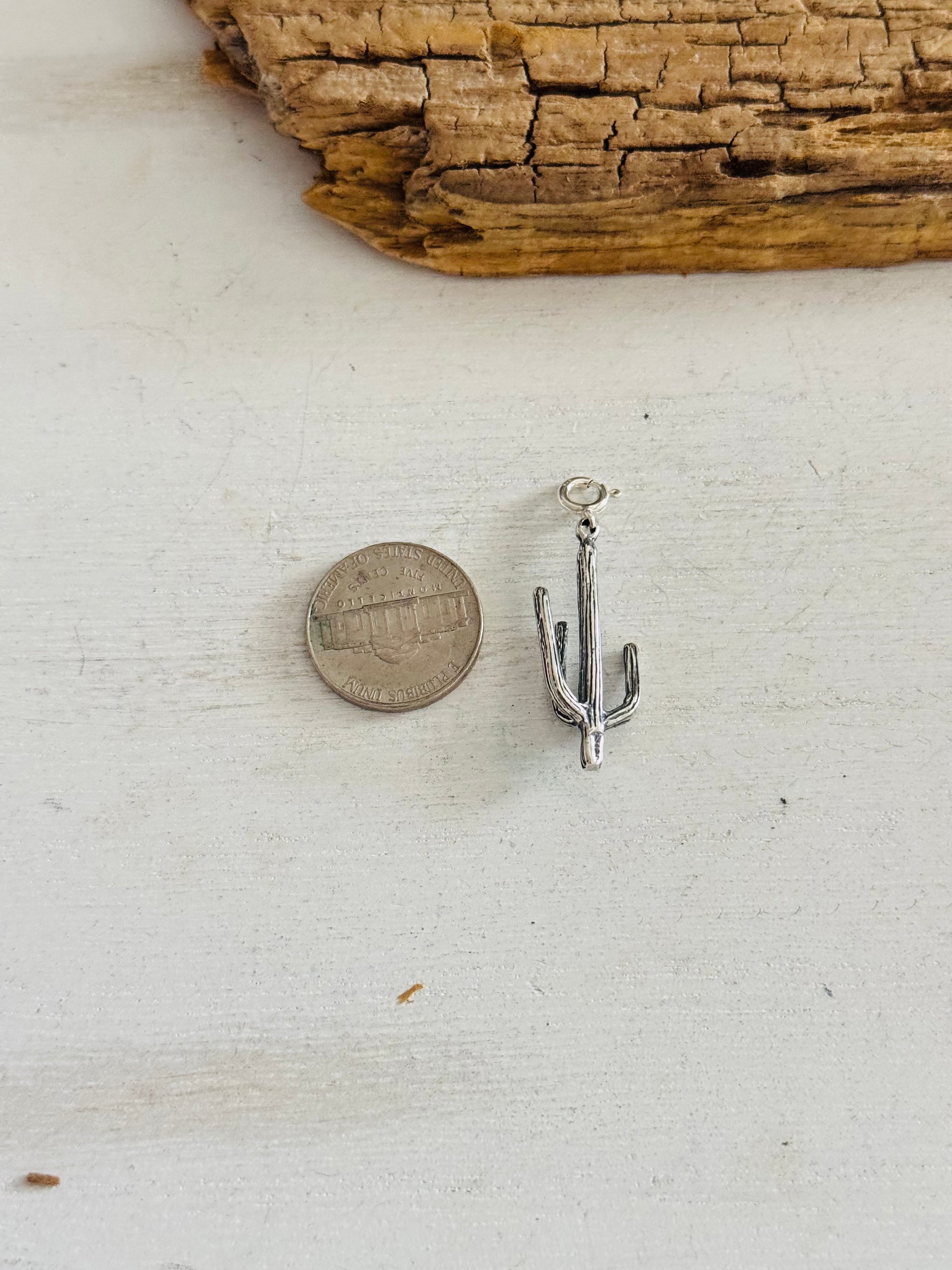 Navajo Made Sterling Silver Saguaro Cast Charms