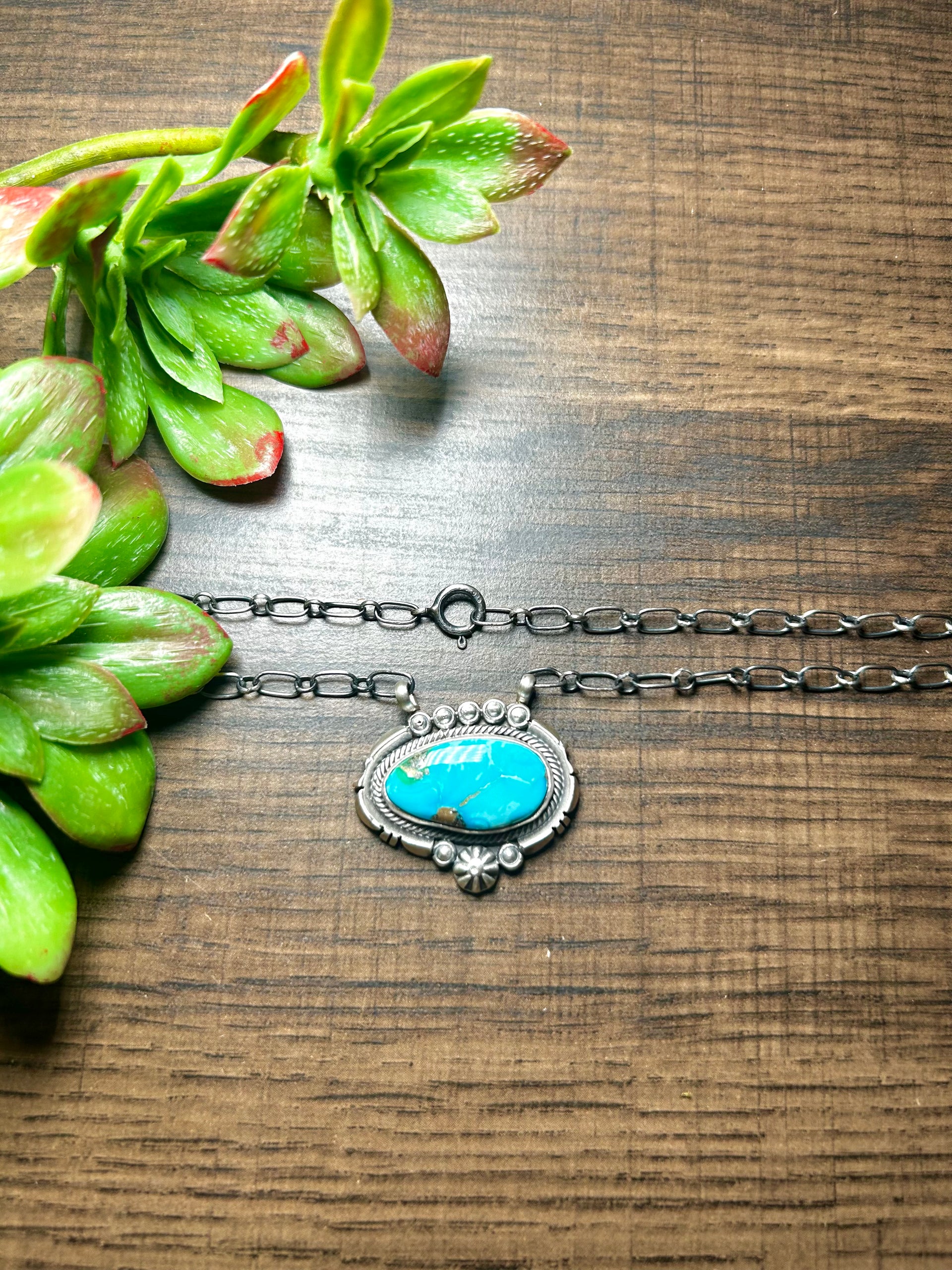 Daniel Bepally Sonoran Mountain Turquoise & Sterling Silver Necklace