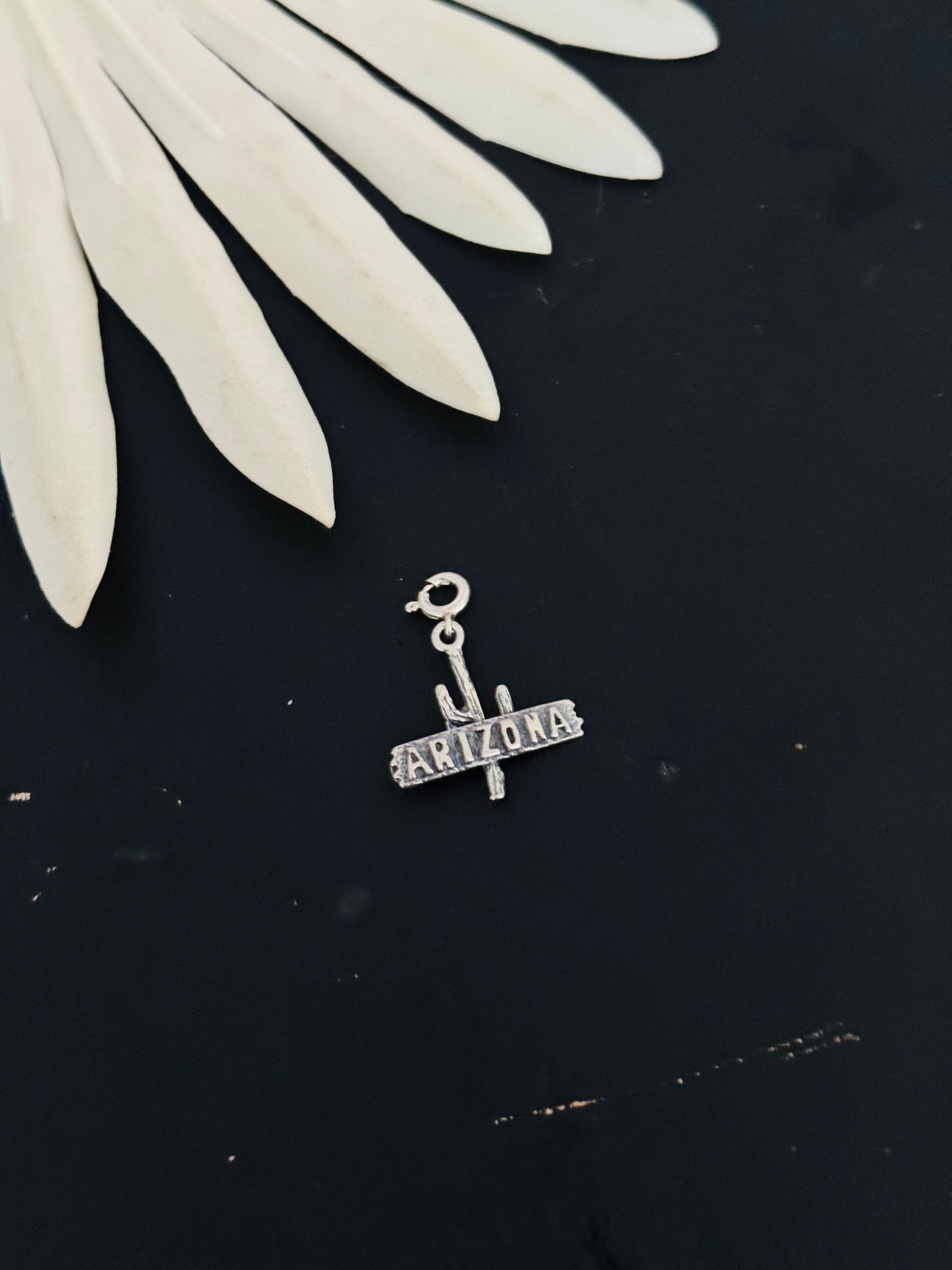 Navajo Made Sterling Silver Arizona Cast Charms