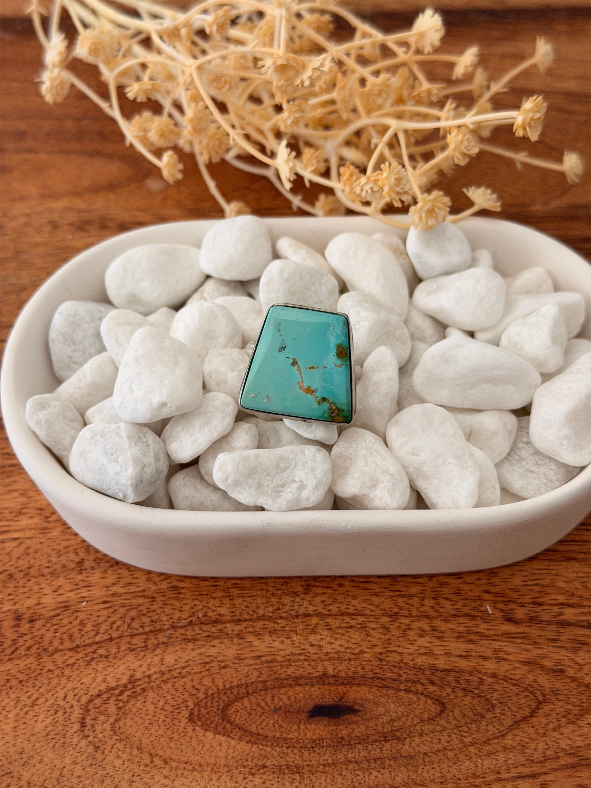 Antionette Martinez Sonoran Mountain Turquoise & Sterling Silver Adjustable Ring