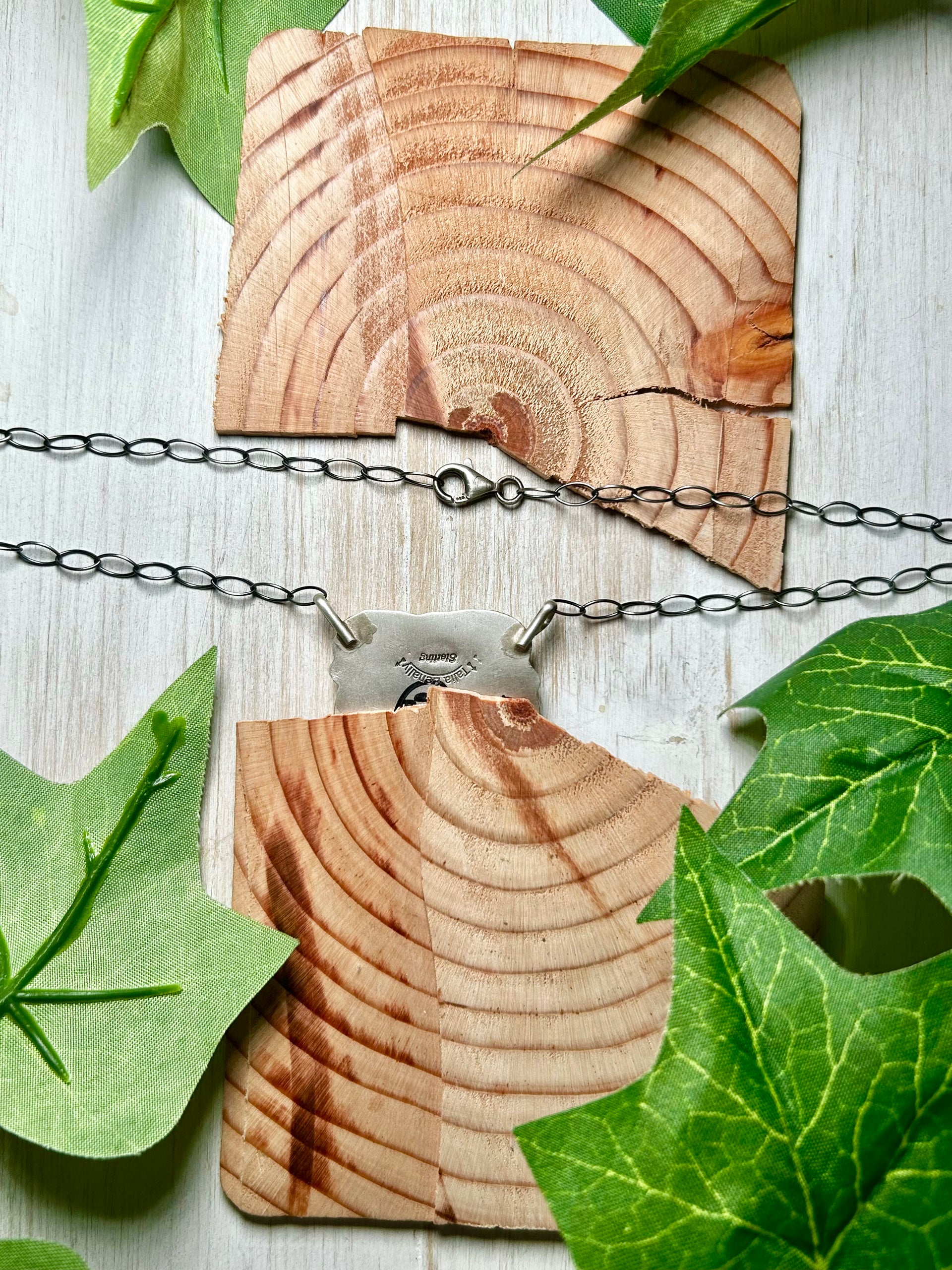Talia Benally White Water Turquoise & Sterling Silver Necklace