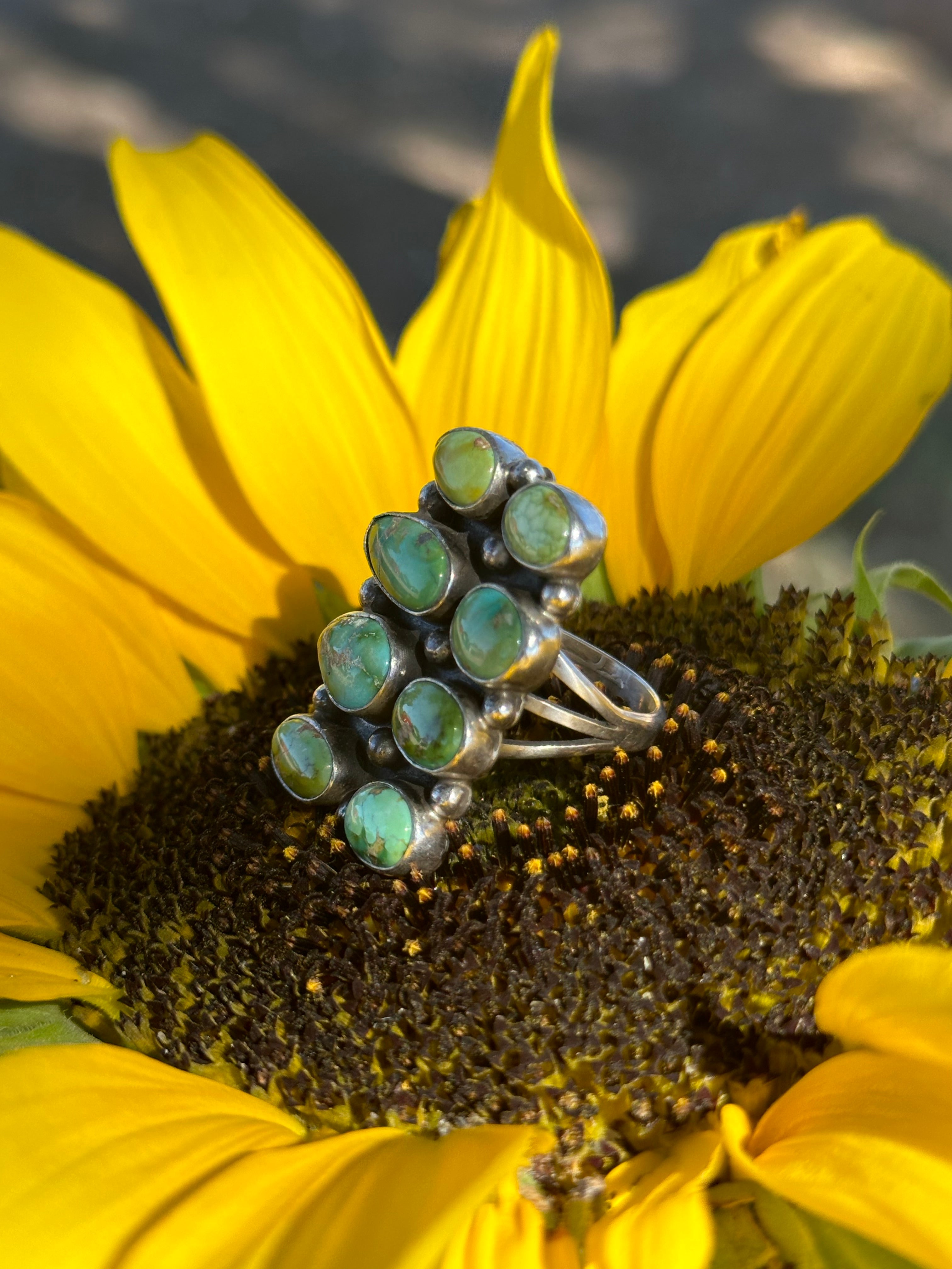 Jon Begay Royston Turquoise & Sterling Silver Cluster Ring Size 10