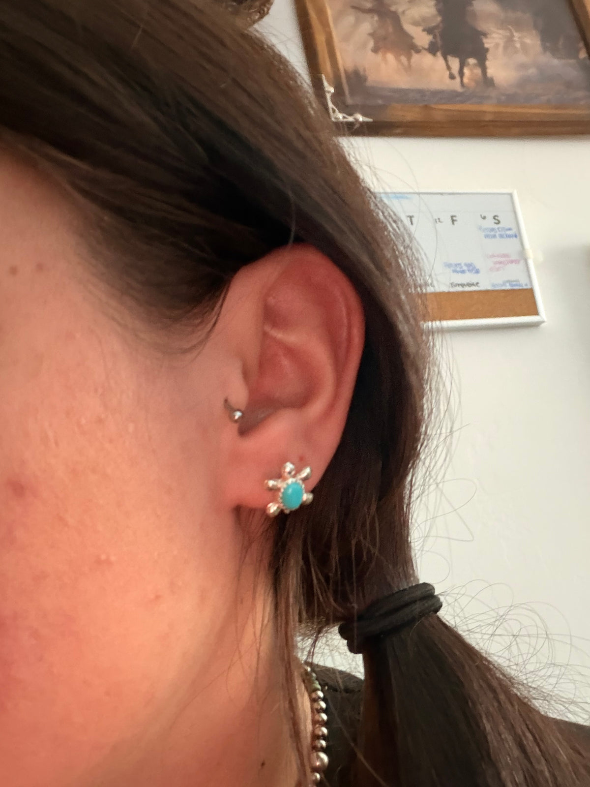 Norton Kincel Sterling Silver Turtle Post Earrings