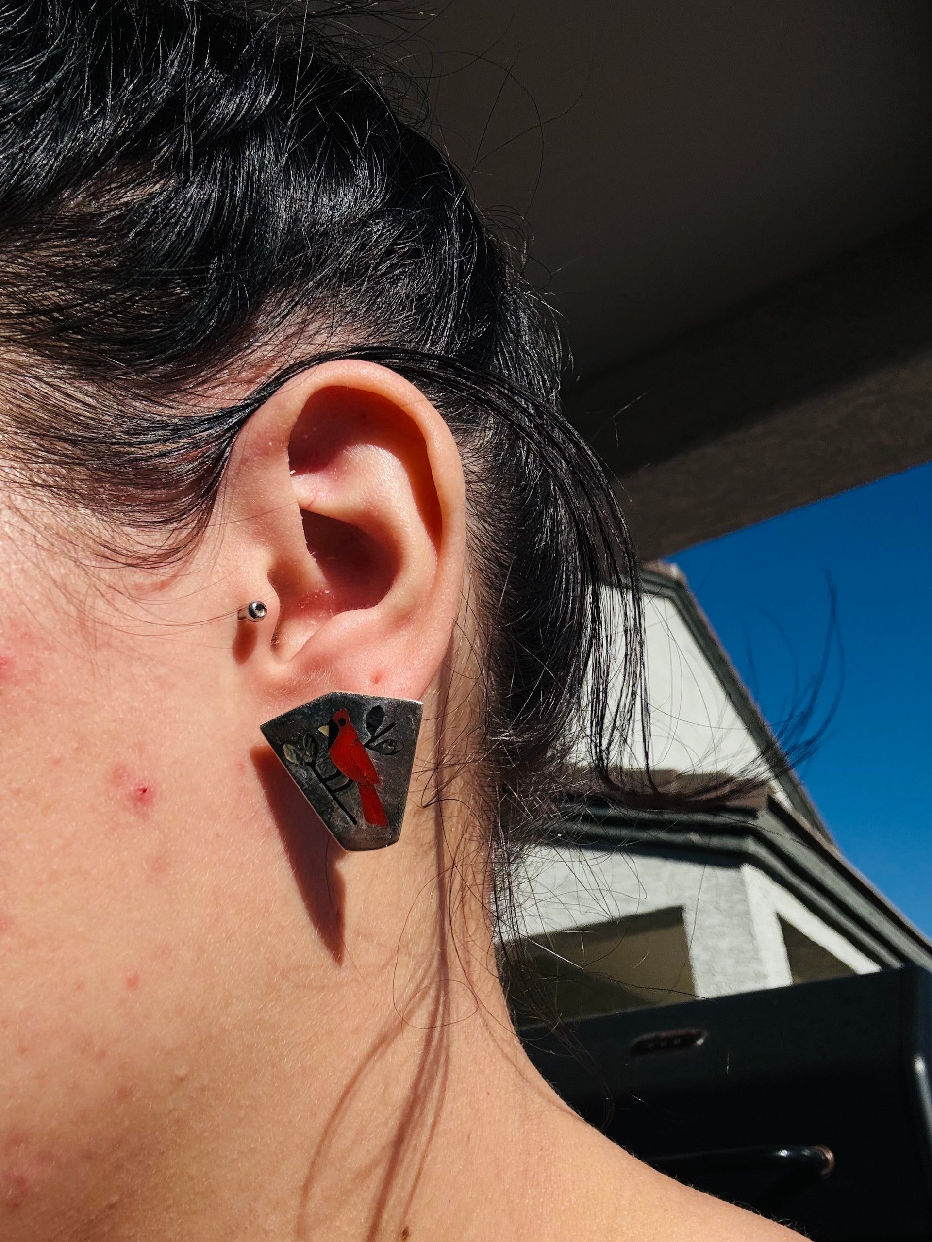 Sanford Edaakie Multi Stone & Sterling Silver Inlay Post Earrings