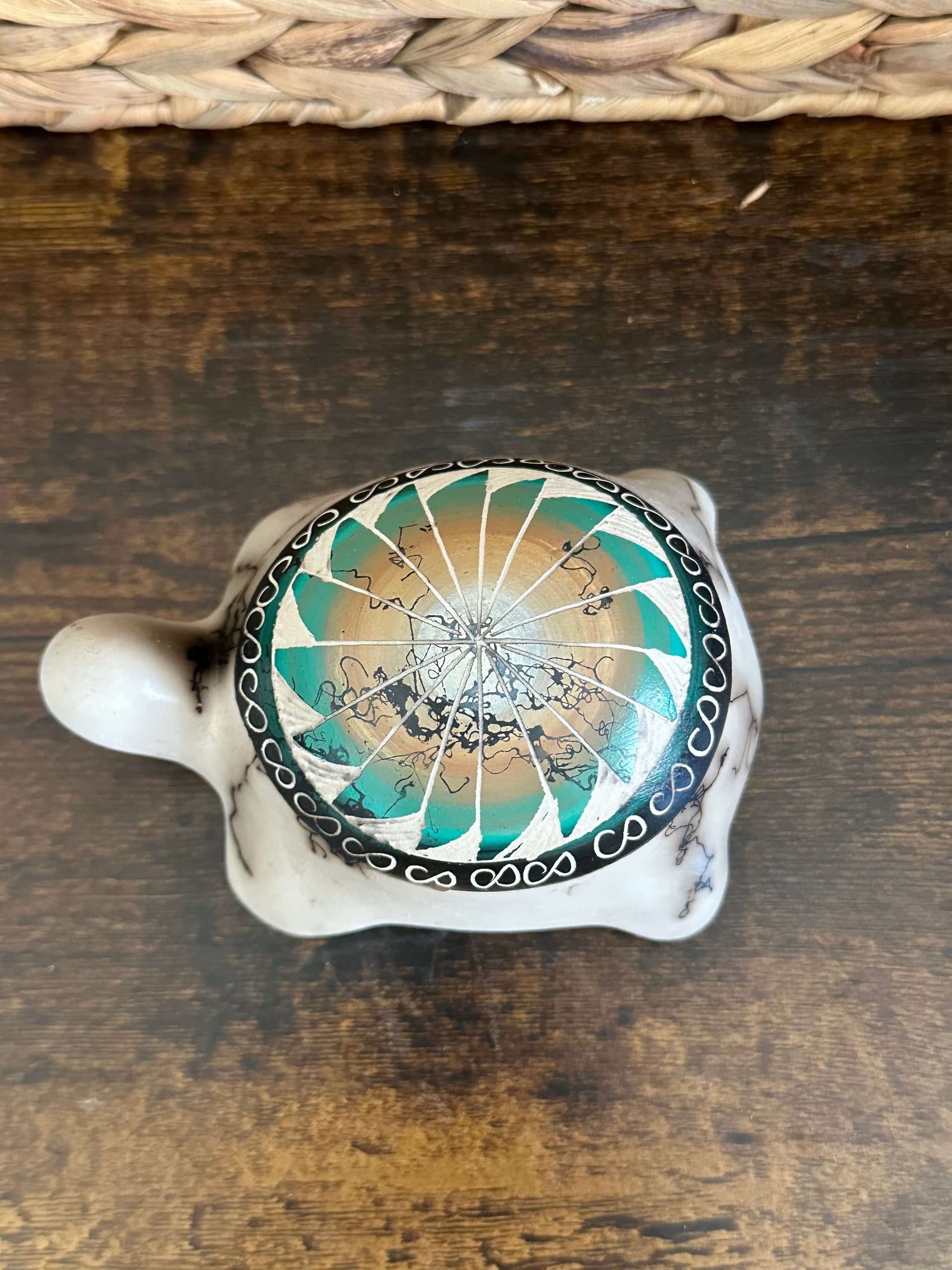 Vanessa Sam Navajo Made Turtle Pottery