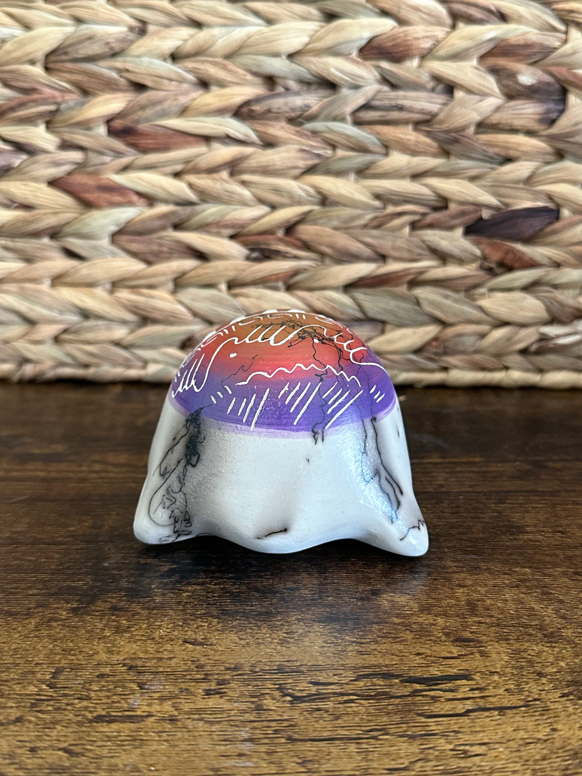 Shana Sam Navajo Made Turtle Pottery