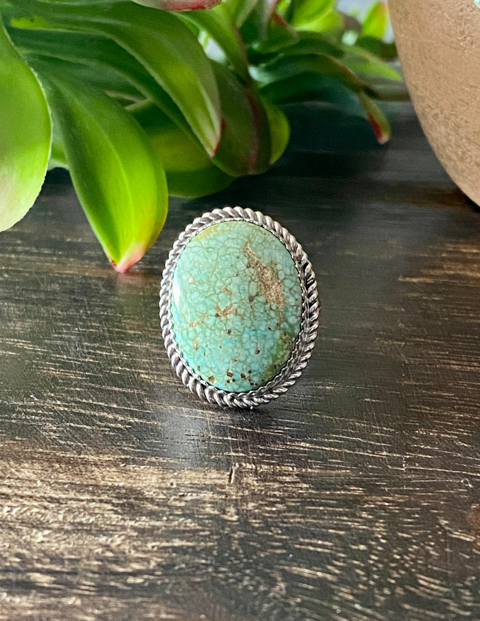 Reda Galvan Sonoran Mountain Turquoise & Sterling Silver Ring Size 8.75