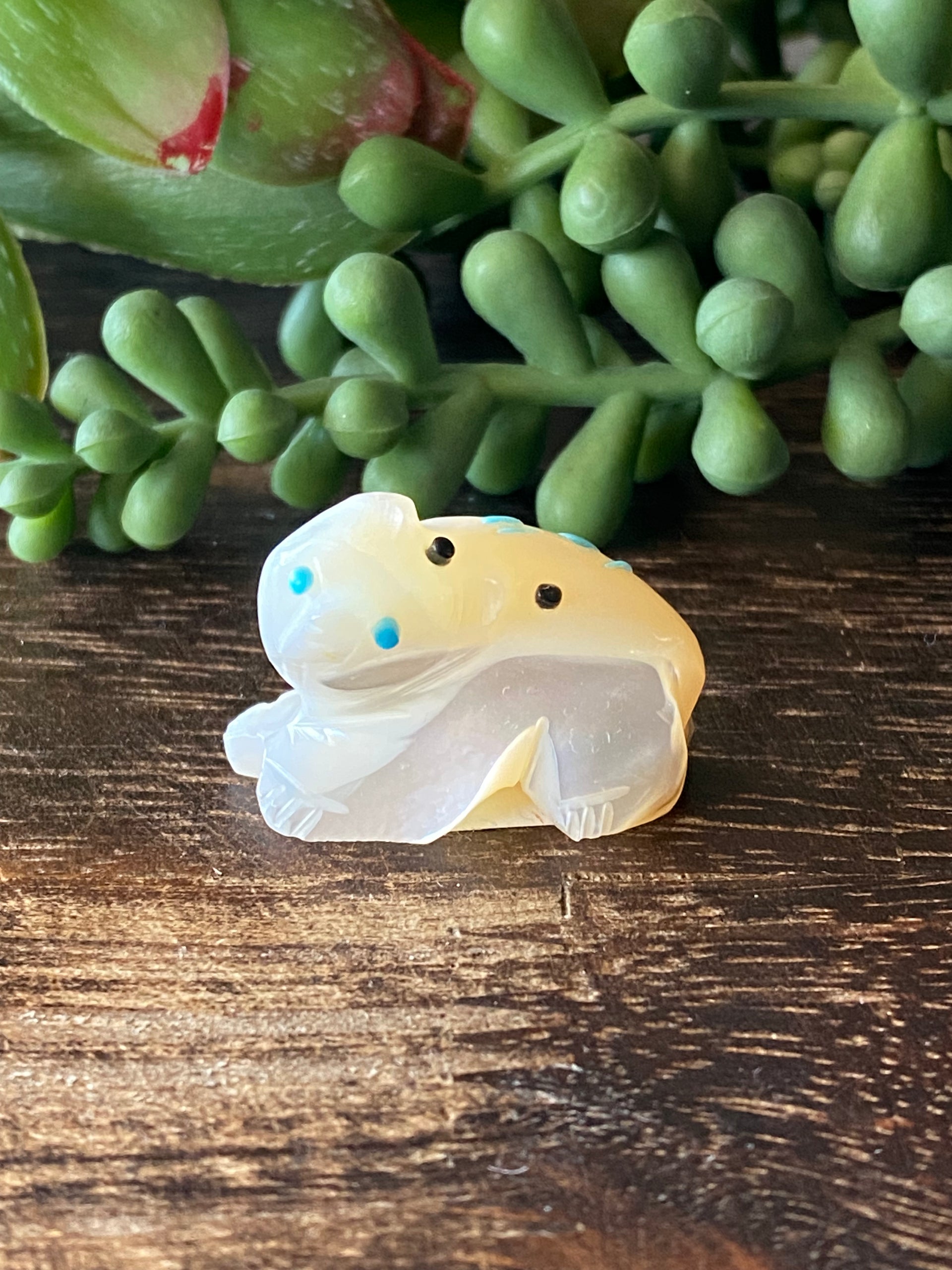 Zuni Made Fetish Stones Figurines