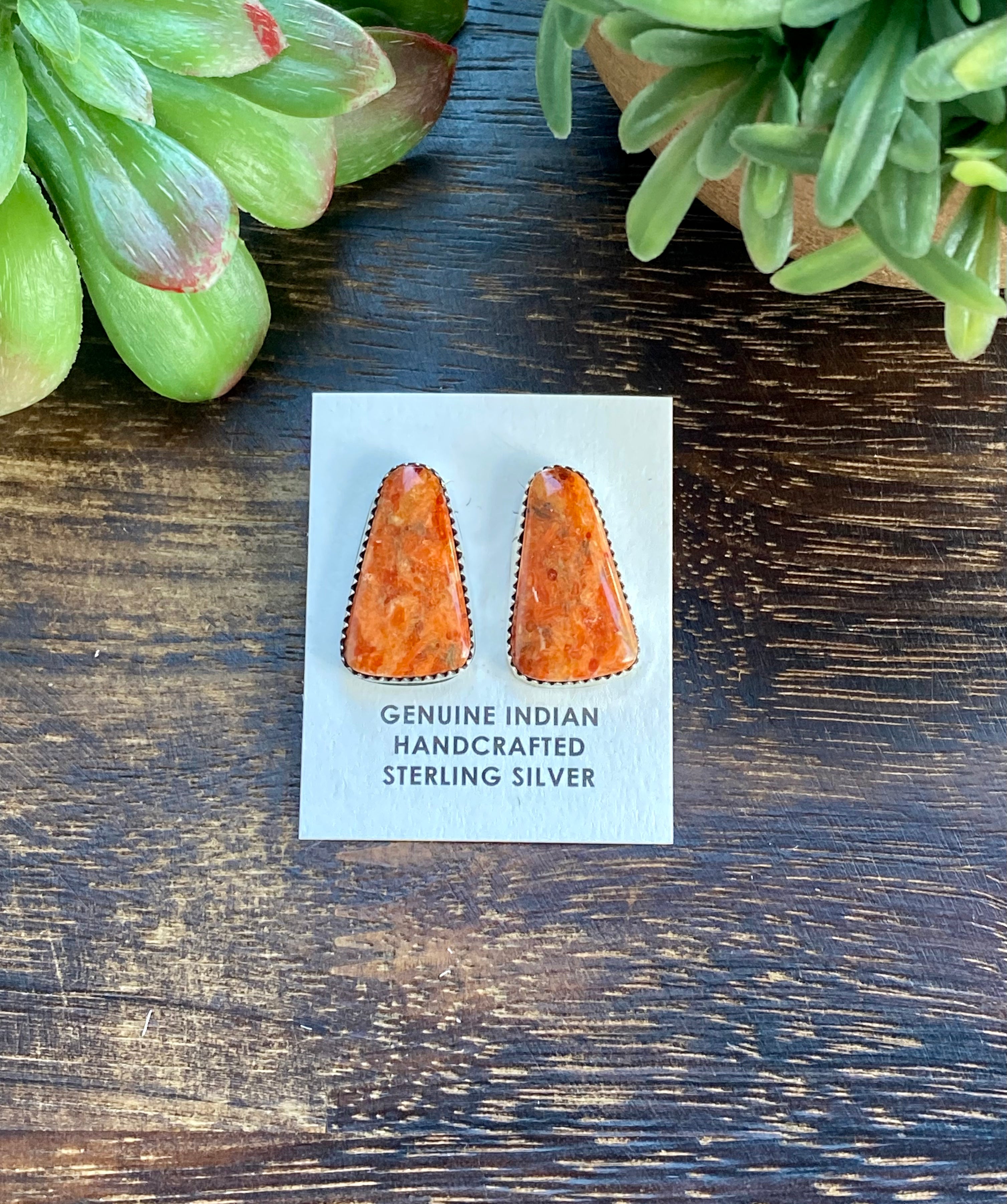 Navajo Made Apple Coral & Sterling Silver Post Earrings